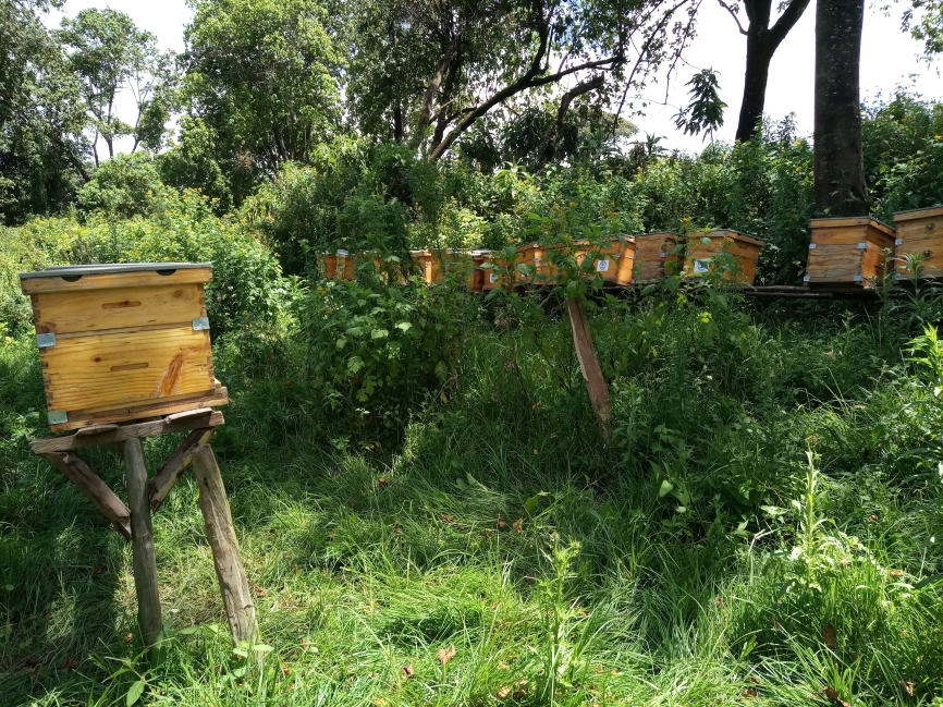 IMG_20200523_125409_448