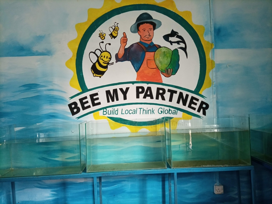 Fish Farming 2 IMG_20200707_092354_420 (1)