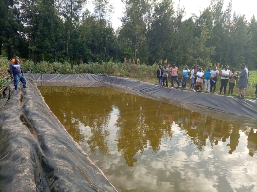 Fish Farming 1 IMG_20200917_172607_392