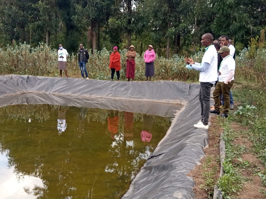 Fish Farming 3 IMG_20201012_171649_538