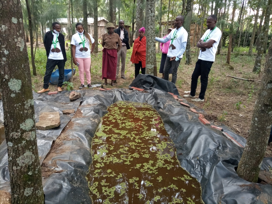 Fish Farming 6 IMG_20201012_173201_264