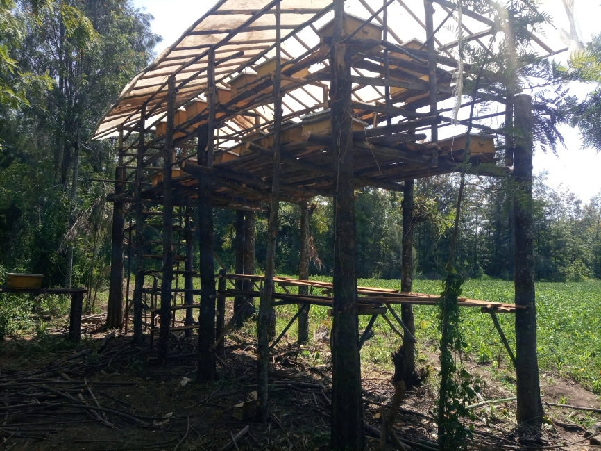 IMG_20220630_132901_942