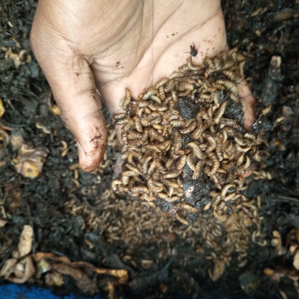 IMG_20220905_073718_284 (1)