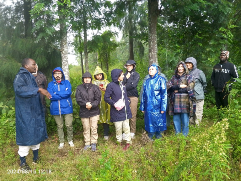 IMG 20240815 121809 045