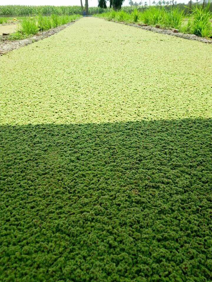 Home 3 75ed62dc 97f6 4946 95d4 657861cb9c77