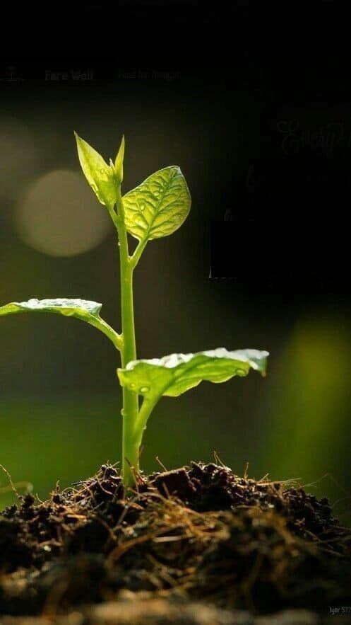 Home 8 fb8930d1 abc6 4cf1 9fcb c0588944ea62